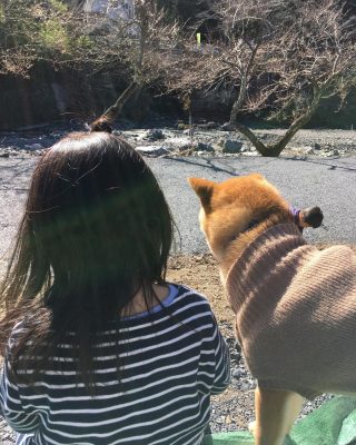 埼玉県飯能市 名栗川のバーベキュースポットさつき